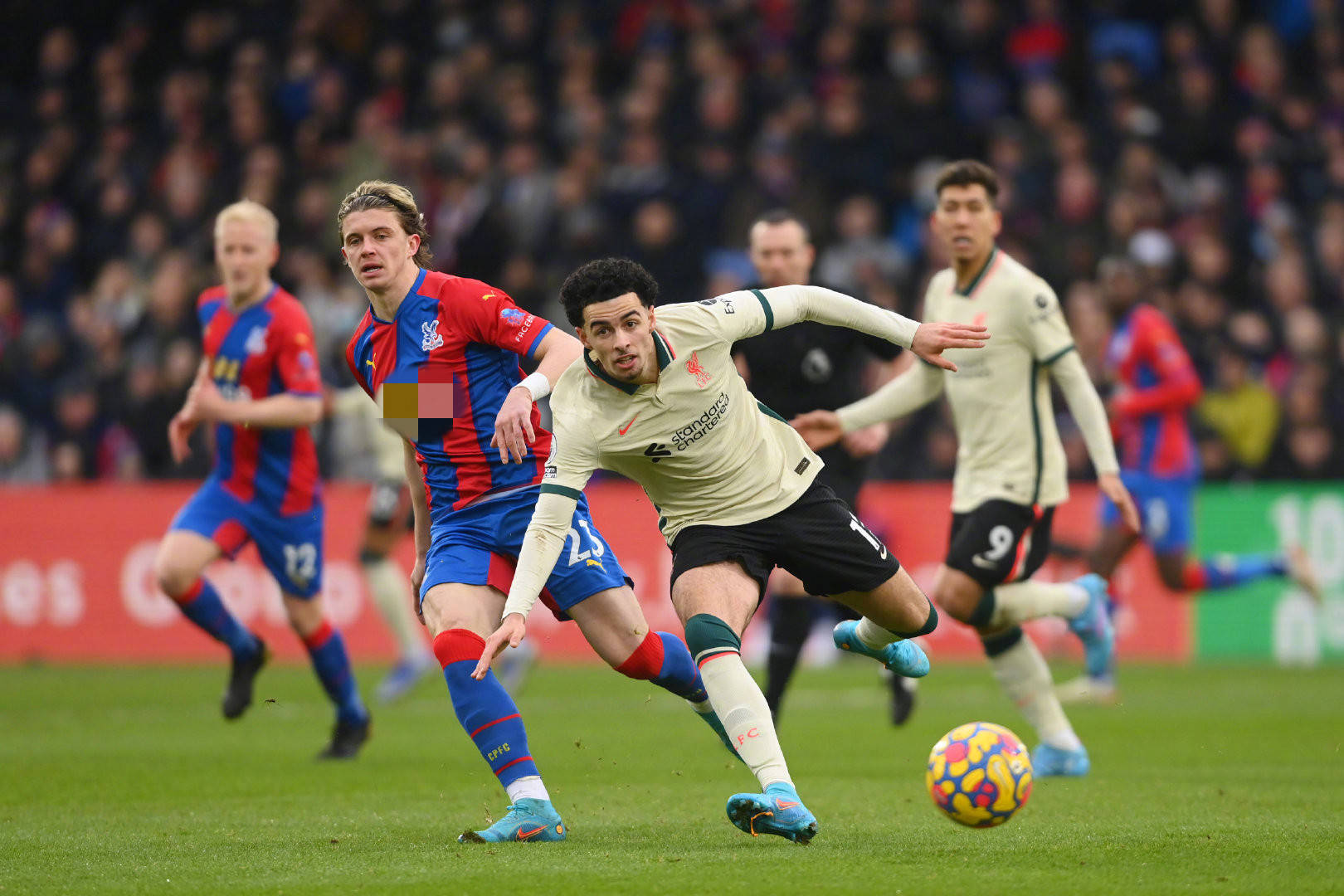 德赫亚的胸 德赫亚的胸